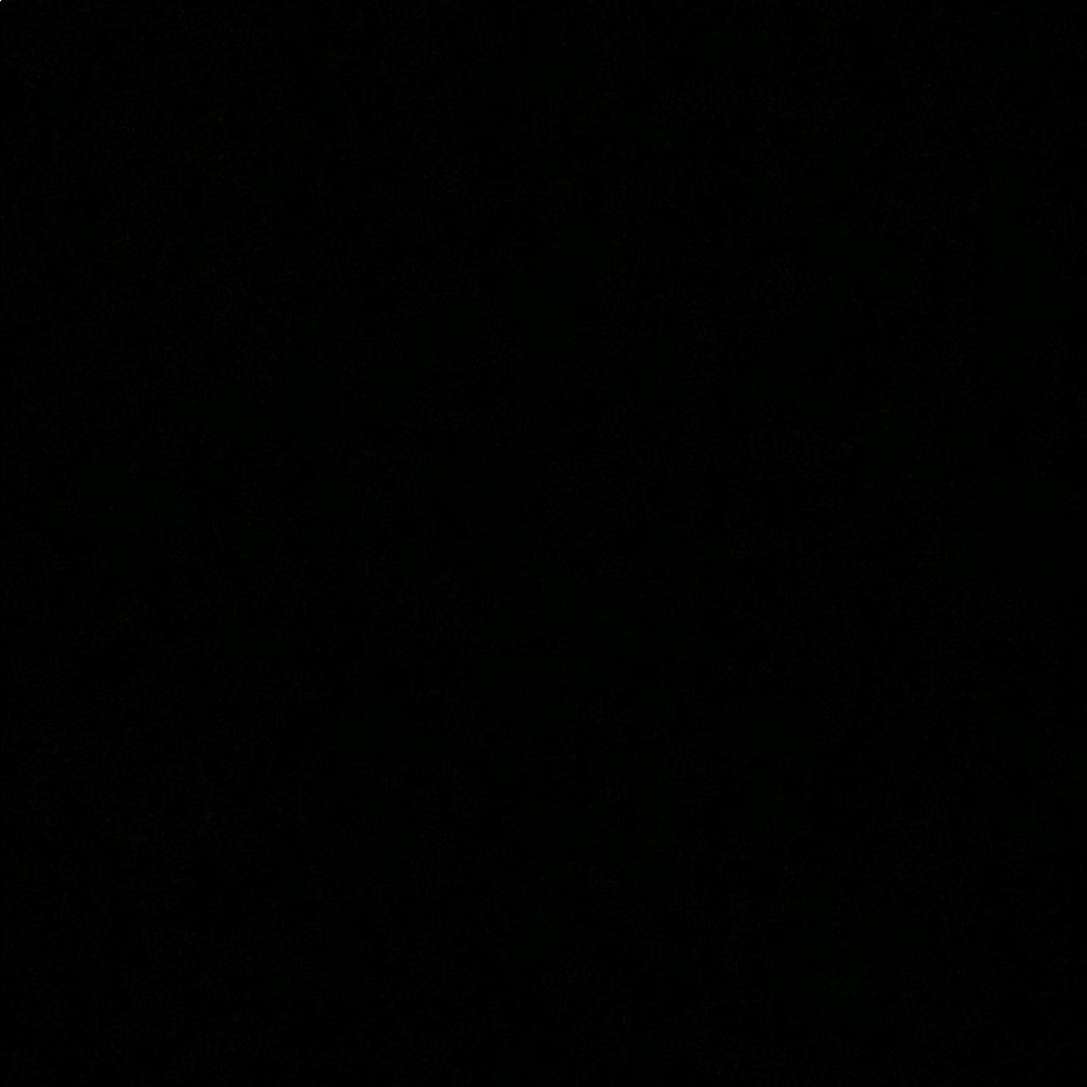 Meet your Posher, Dawson